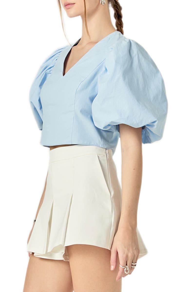 Endless Rose V-Neck Crop Top, Alternate, color, Powder Blue