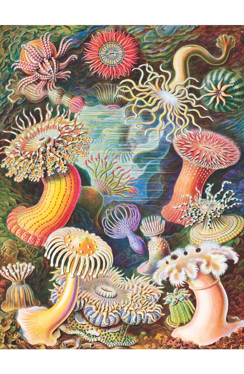 NEW YORK PUZZLE COMPANY Sea Anemones 1000 Piece Puzzle, Alternate, color, NO COLOR