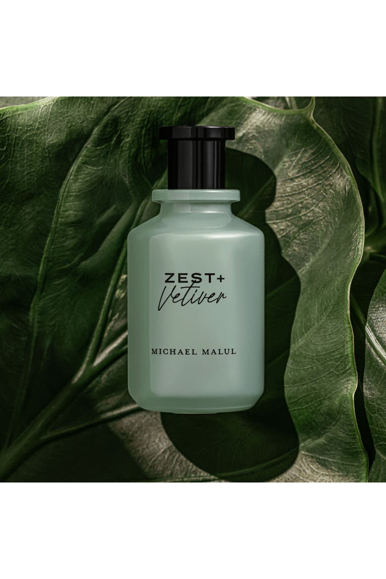 Zest+Vetiver Eau de Parfum, Alternate, color, 100ml