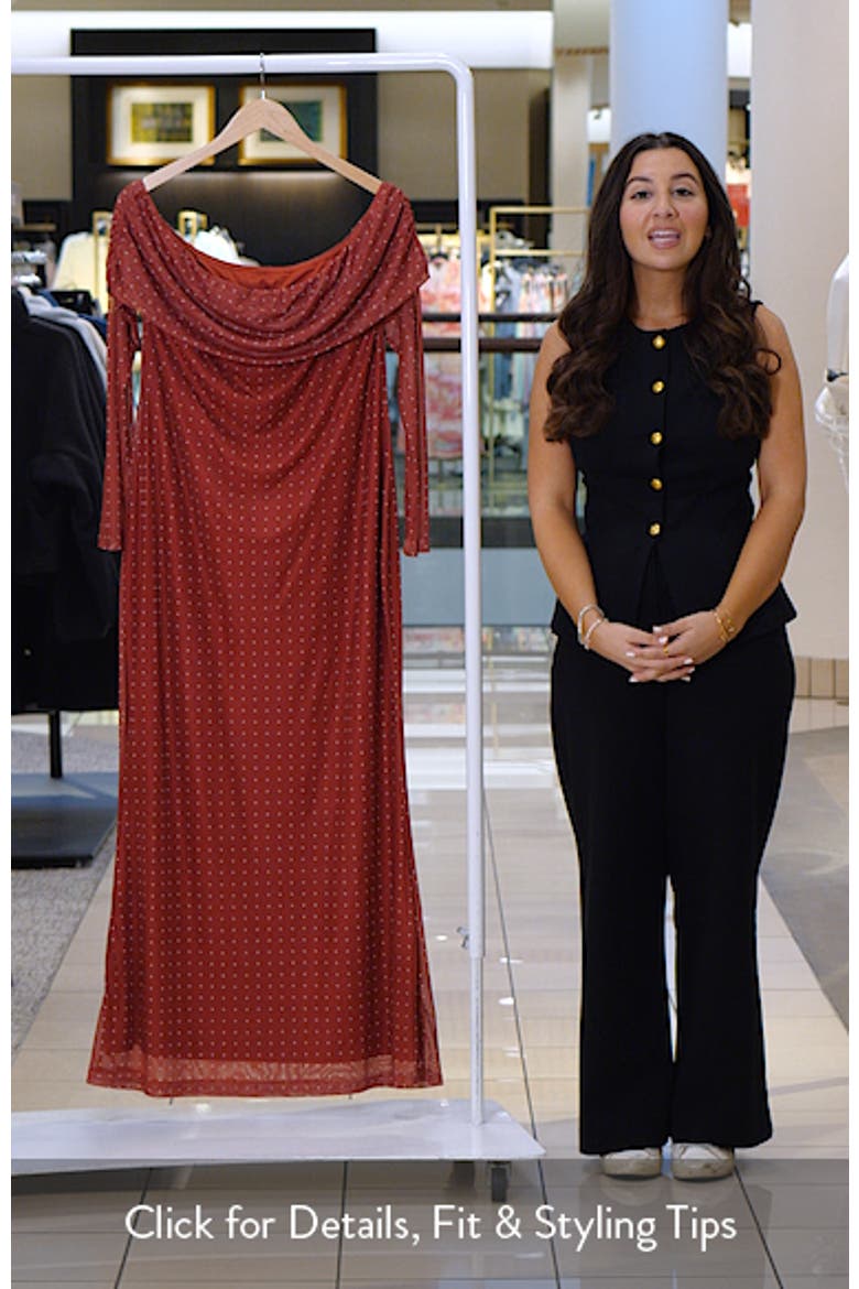Zeva Off the Shoulder Long Sleeve Mesh Maxi Dress video