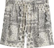 PacSun Aaron Print Mesh Shorts