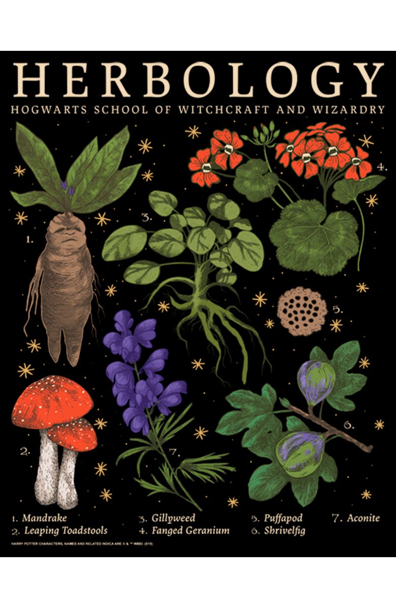 HARRY POTTER Junior's Harry Potter Hogwarts Herbology  Graphic T-Shirt, Alternate, color, Black
