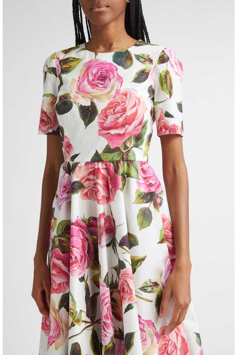 Rose Print Cotton Fit & Flare Dress, Alternate, color, ROSE ROSA FLORAL.BIANCO