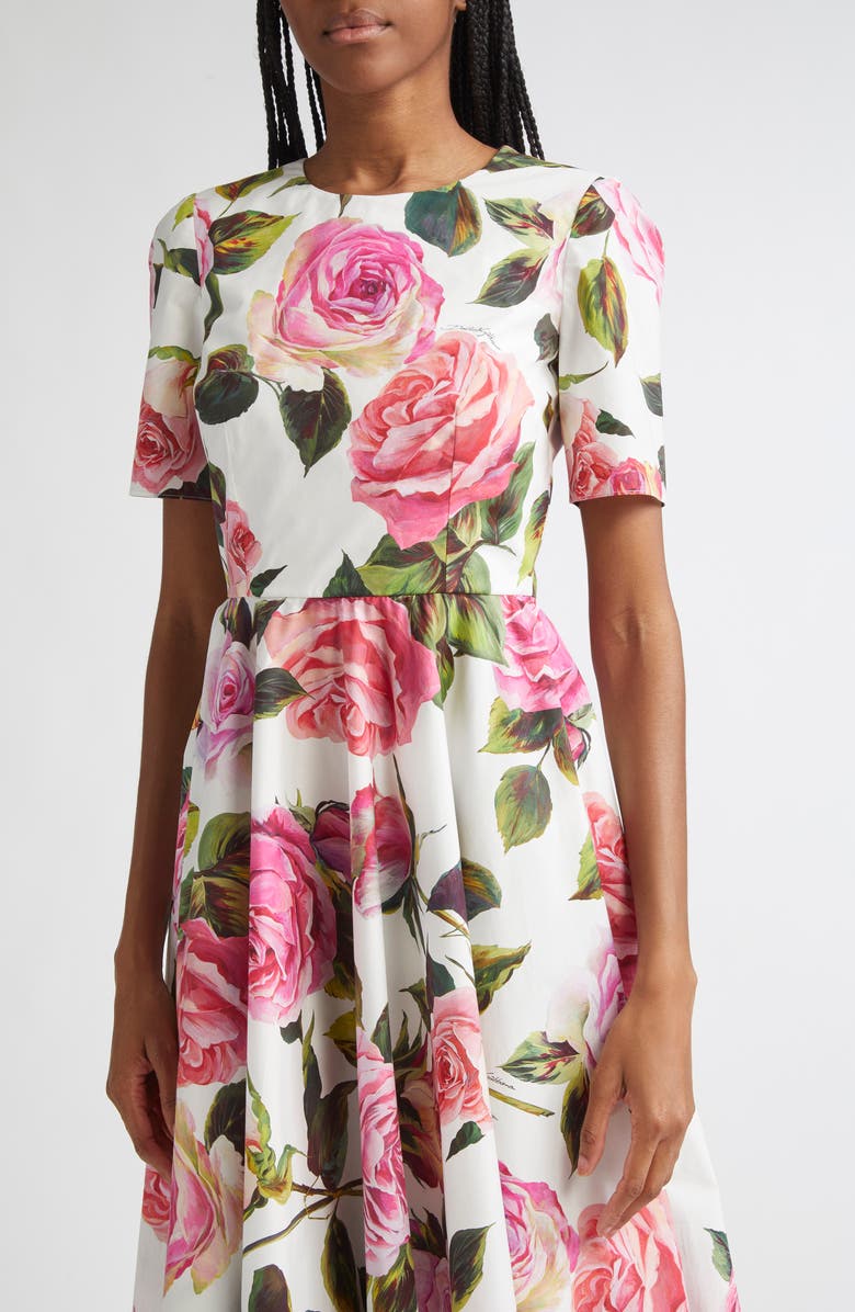 Dolce&Gabbana Rose Print Cotton Fit & Flare Dress, Alternate, color, Rose Rosa Floral.bianco