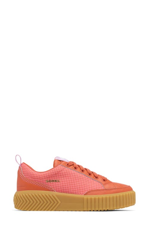 Sorel Ona Ave Waterproof Low Top Sneaker In Tuscan/gum