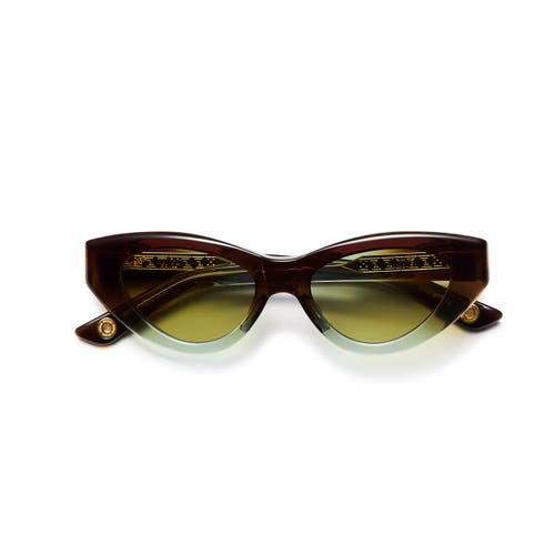 Vada Catfish Sunglasses In Brown