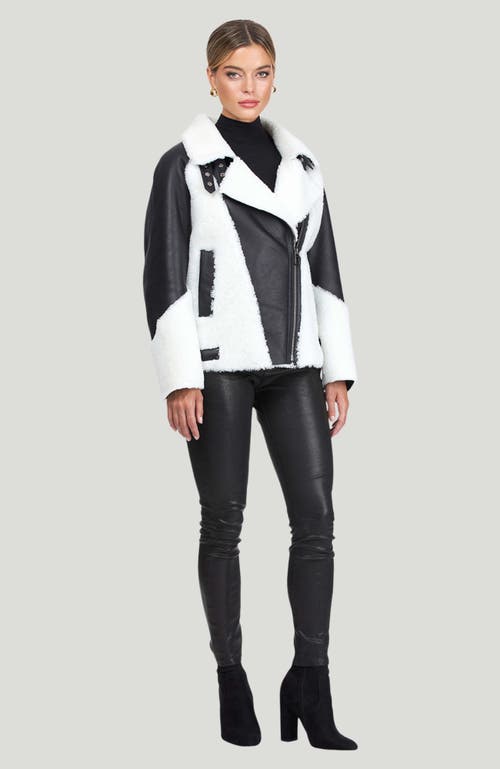 Gorski Shearling Lamb Asymmetrical Zip Jacket In White