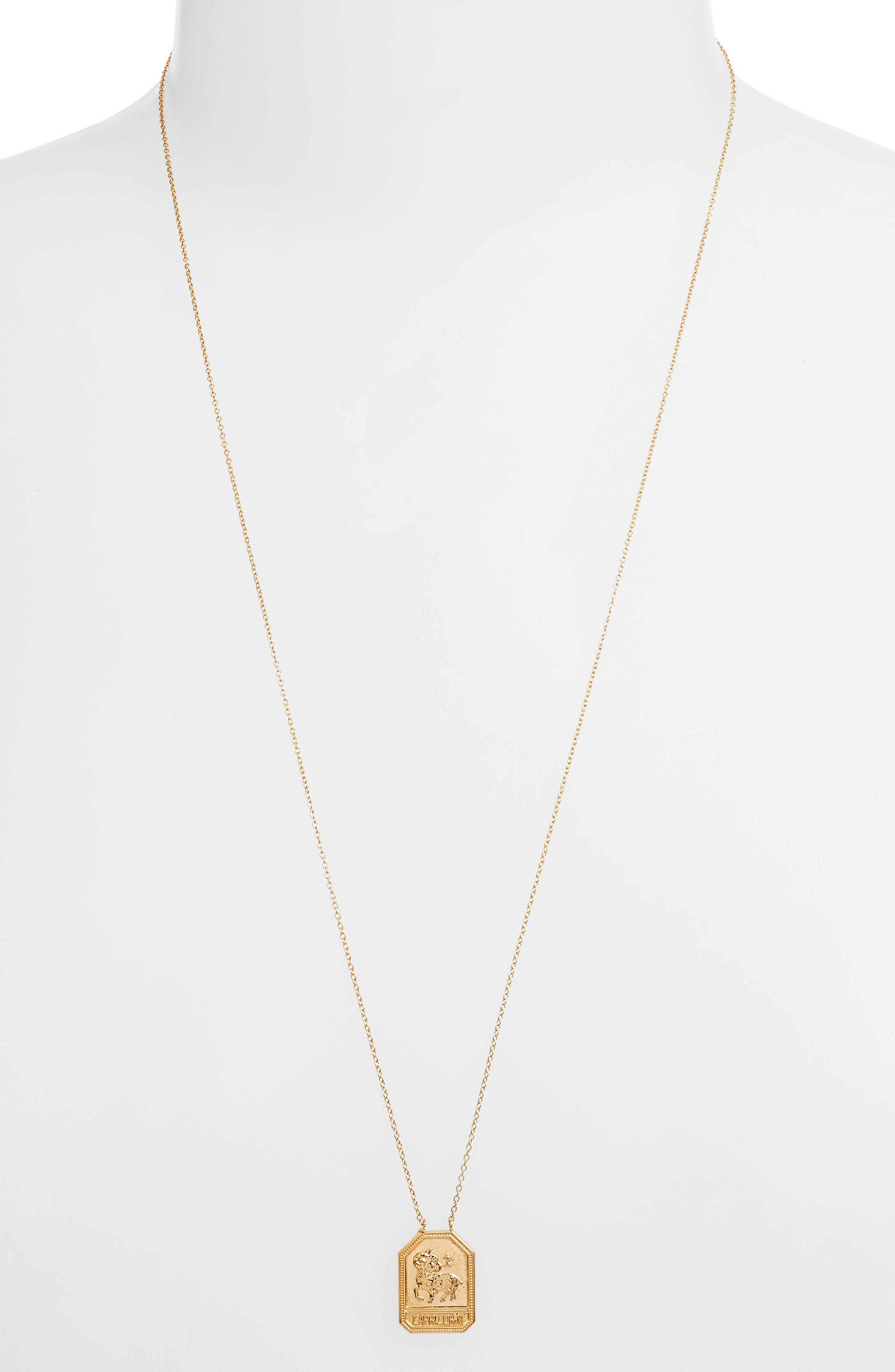 CAPRICORN GOLD