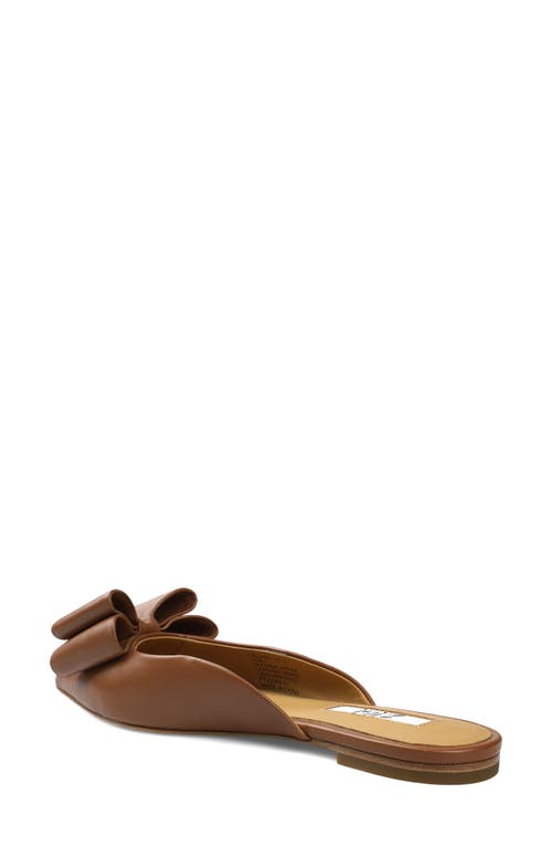 Zigi Finland Pointed Toe Mule In Multi