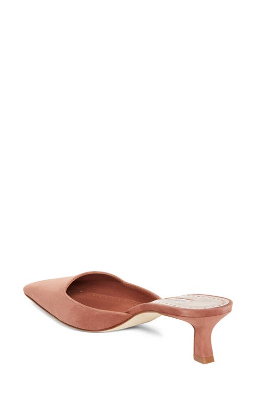 Manolo Blahnik Moiramu Pointed Toe Kitten Heel Mule