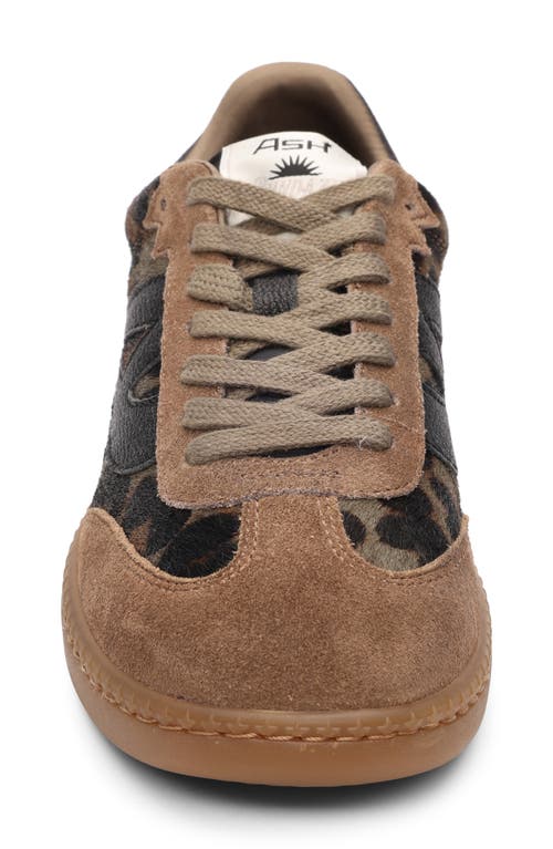 Ash Sunset Sneaker In Brown