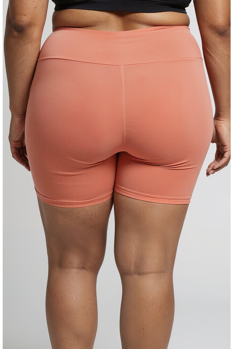 Plus Size Mid-Thigh Swim Shorts, Alternate, color, Rust