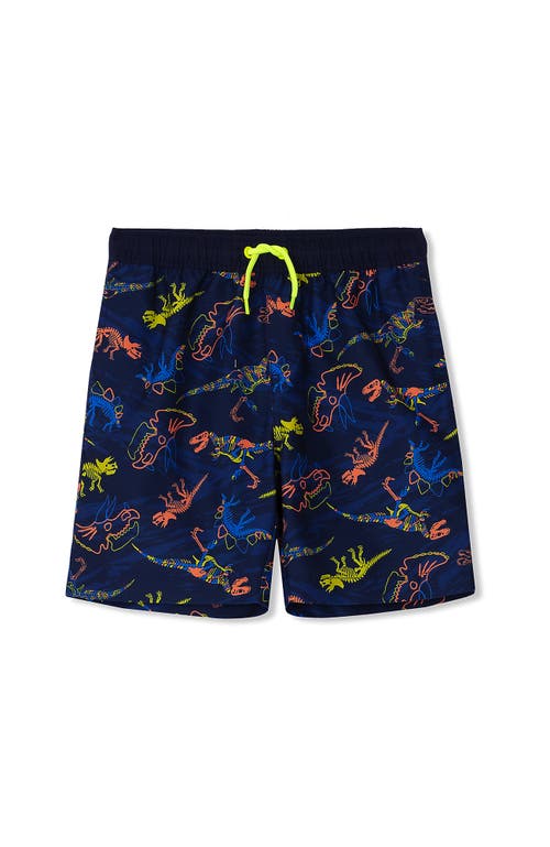 LANDS' END LANDS' END BOYS PRINT SWIM TRUNKS