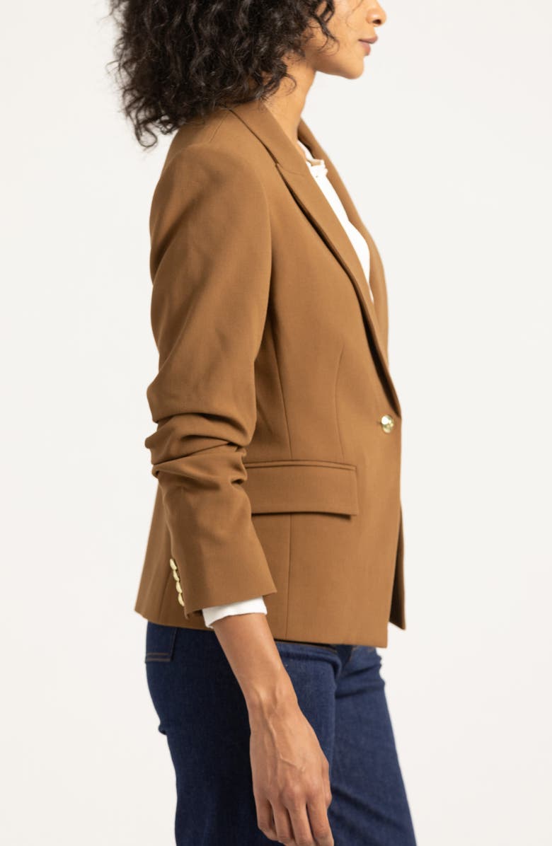 Derek Lam 10 Crosby Ralph Ruched Sleeve Jacket, Alternate, color, Dark Mocha