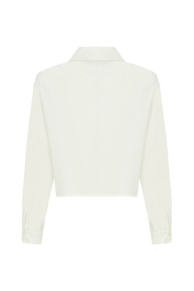 Audrey Embroidered Cotton Shirt, Alternate, color, ECRU