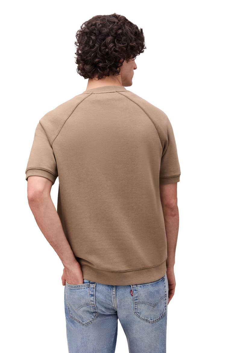 The Recycled Fleece Raglan Sweatshirt, Alternate, color, Mineral Warm Grey