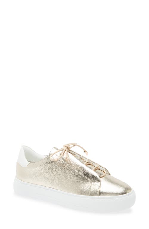 Regarde Le Ciel Nathaly Platform Sneaker In Platinum/white