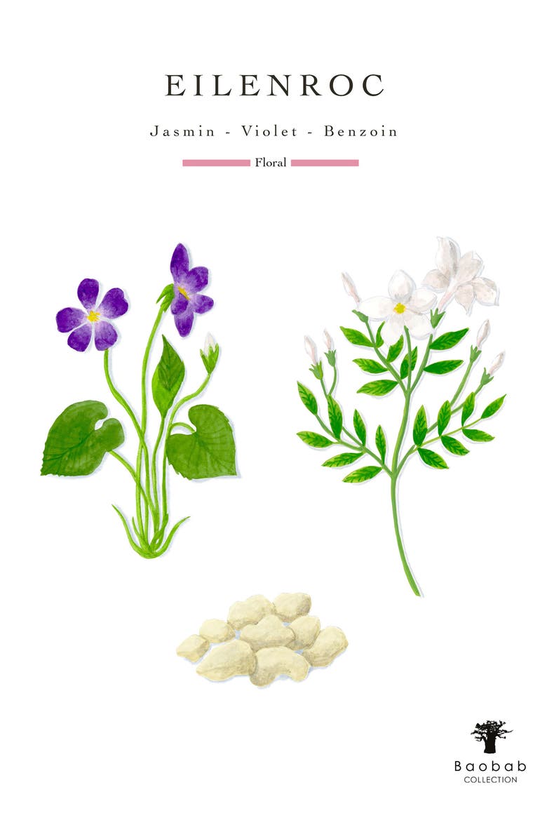 Baobab Collection Riviera Eilenroc Scented Candle, Alternate, color, Purple Multi