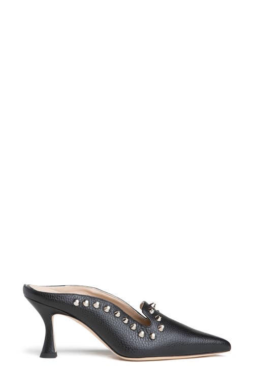 Beautiisoles Goergia Pointed Toe Mule In Black