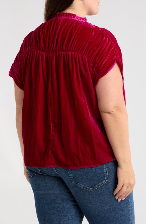 Wit & Wisdom Ruffle Velvet Top