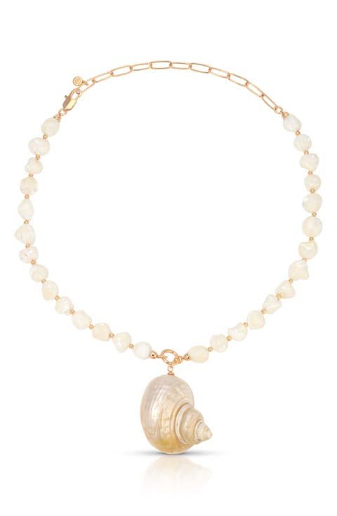 Sunken Treasure Shell Necklace