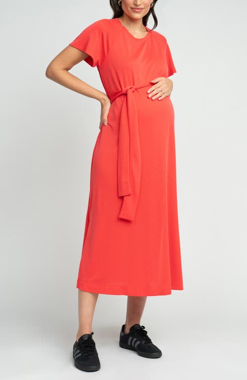 Shop Seraphine Maternity T-shirt Dress In Coral