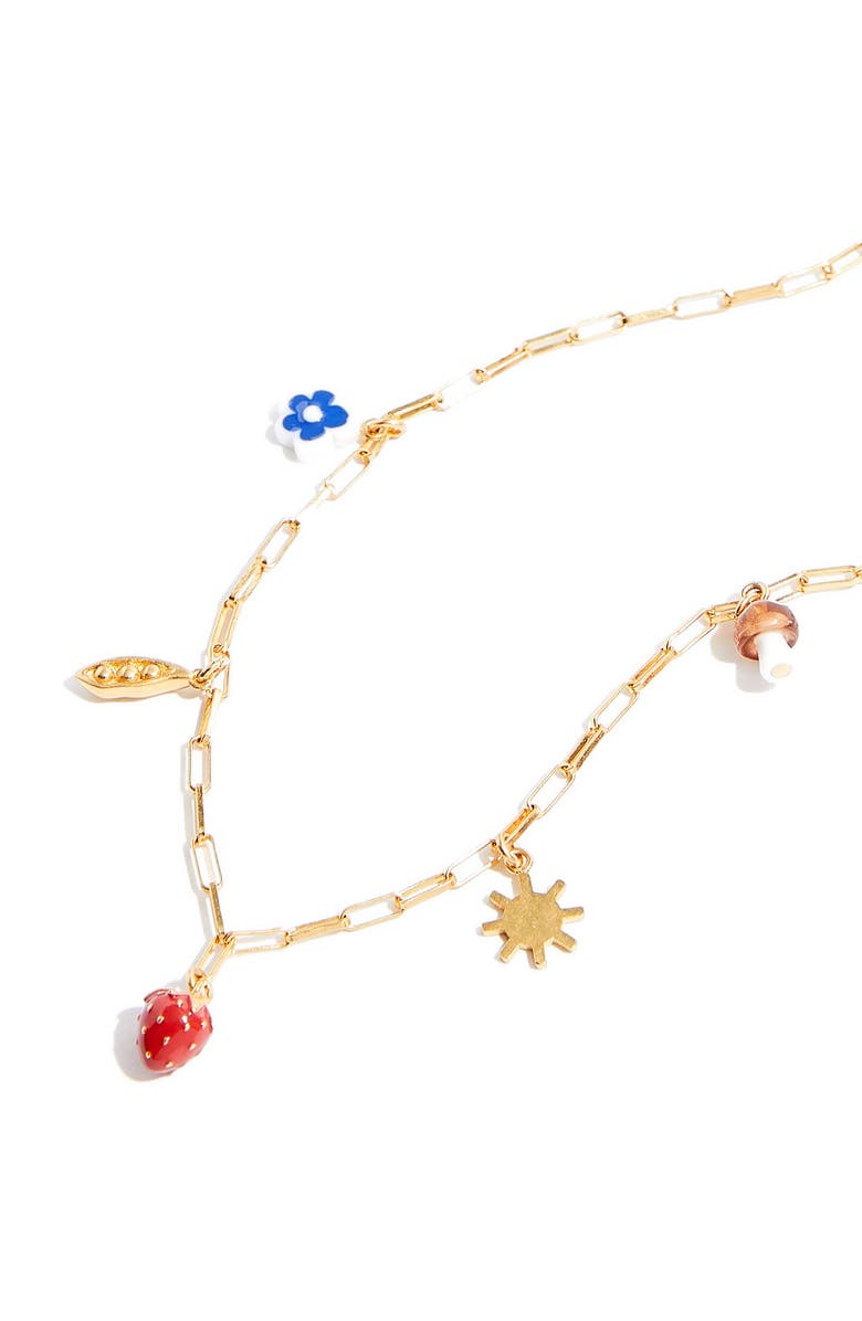 Madewell Farmer's Market Charm Necklace, Alternate, color, 