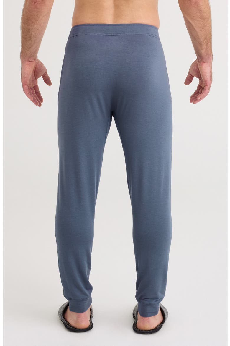 Snooze Lounge Pants, Alternate, color, FOLKSTONE