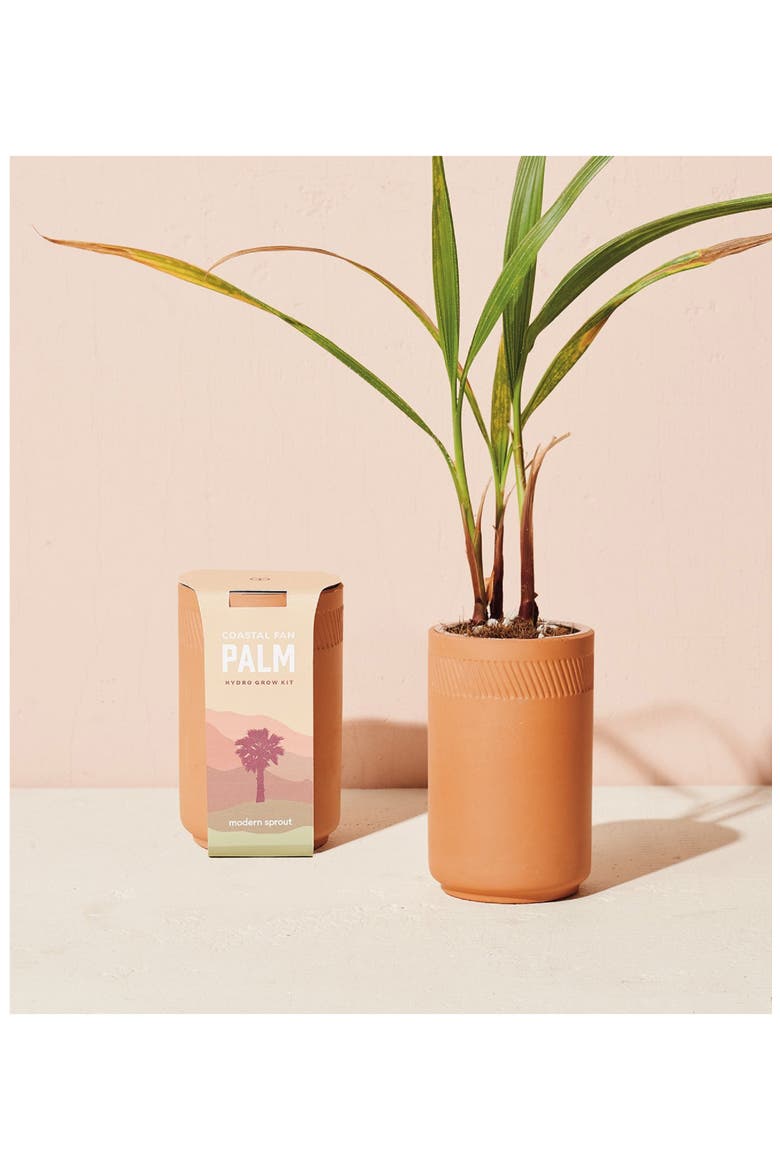 Terra Cotta Grow Kit, Main, color, PALM