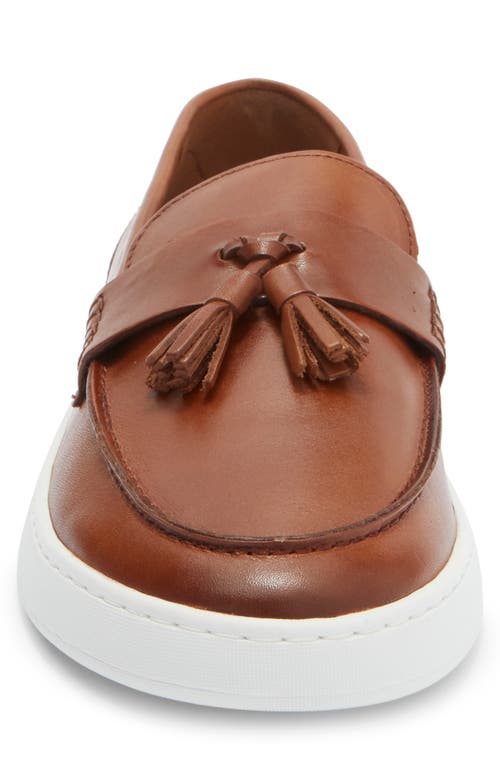 Steve Madden Hatfield Slip-on In Brown