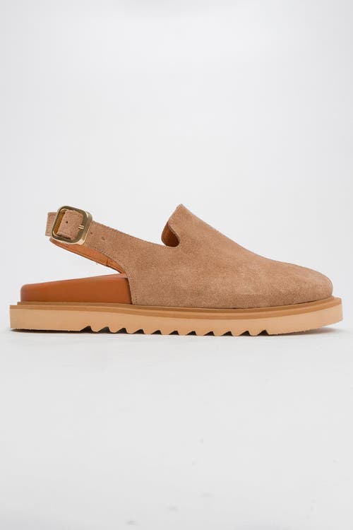 Forever & Always Shoes Laby Leather Clogs In Cognac Suede Leather