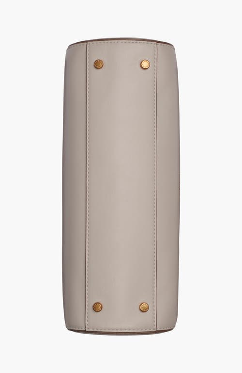 Donna Karan New York Crinoline Satchel In Neutral