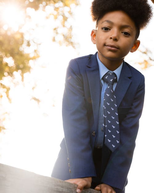 Deux Par Deux Boy's Neck Tie Navy Blue And Dino In Navy Blue And Dino
