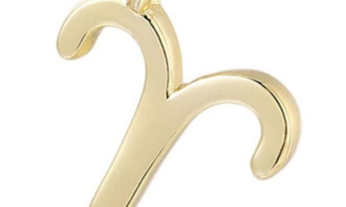 Adornia Zodiac Sign Pendant Necklace