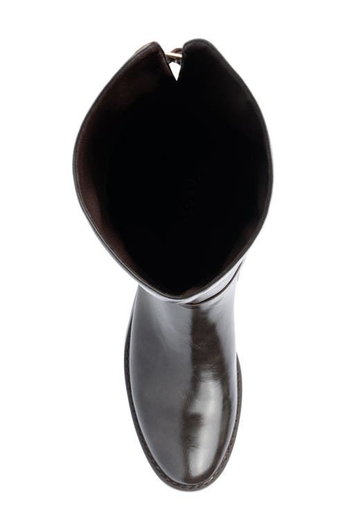 Torgeis Coral Knee High Boot In Brown