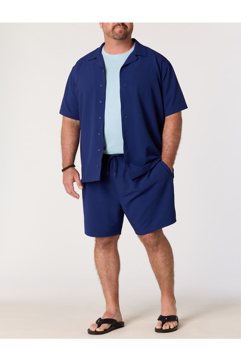 Big & Tall Seersucker Swim Trunks, Alternate, color, BLUE DEPTHS