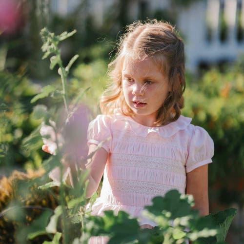 Shop Hope & Henry Girls' Organic Puff Sleeve Smocked Party Dress, Kids In Pale Pink