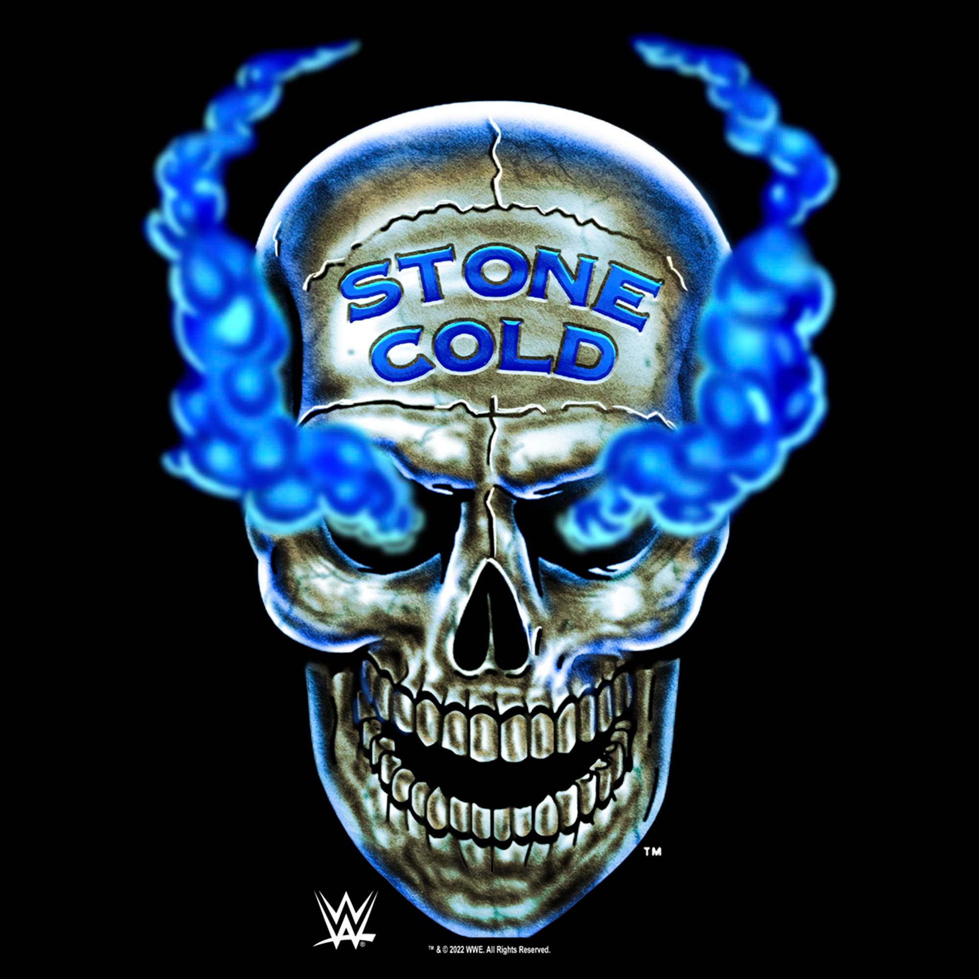 WWE Men's Stone Cold Smoke Skull Short Sleeve Graphic T-Shirt (Men ...
