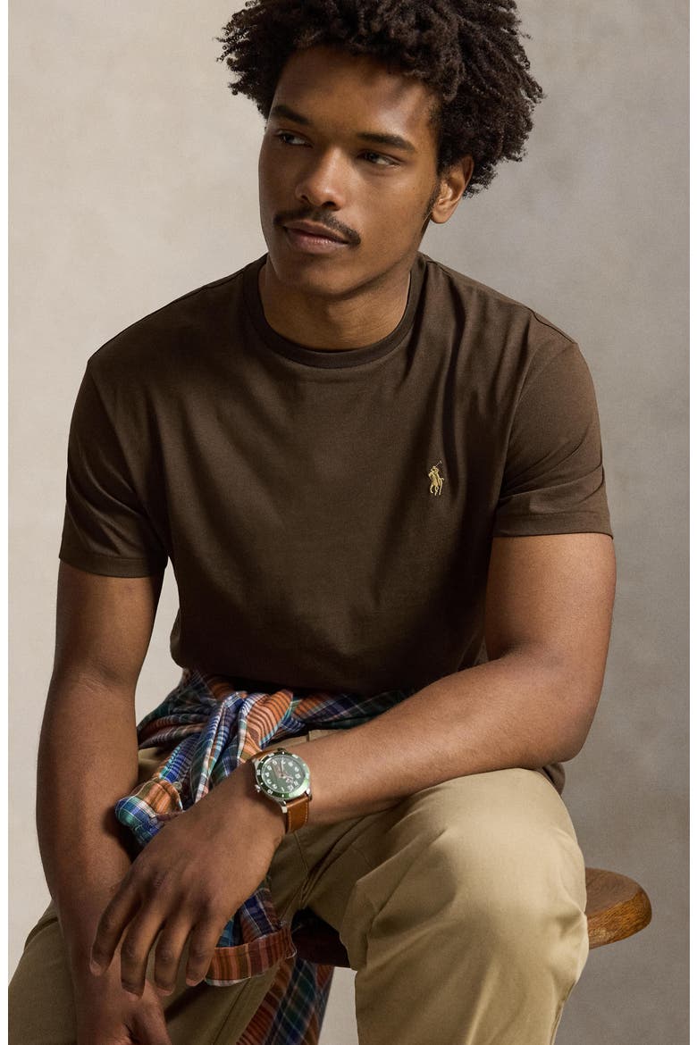 Classic Fit Solid Cotton Jersey T-Shirt, Alternate, color, NUTMEG BROWN