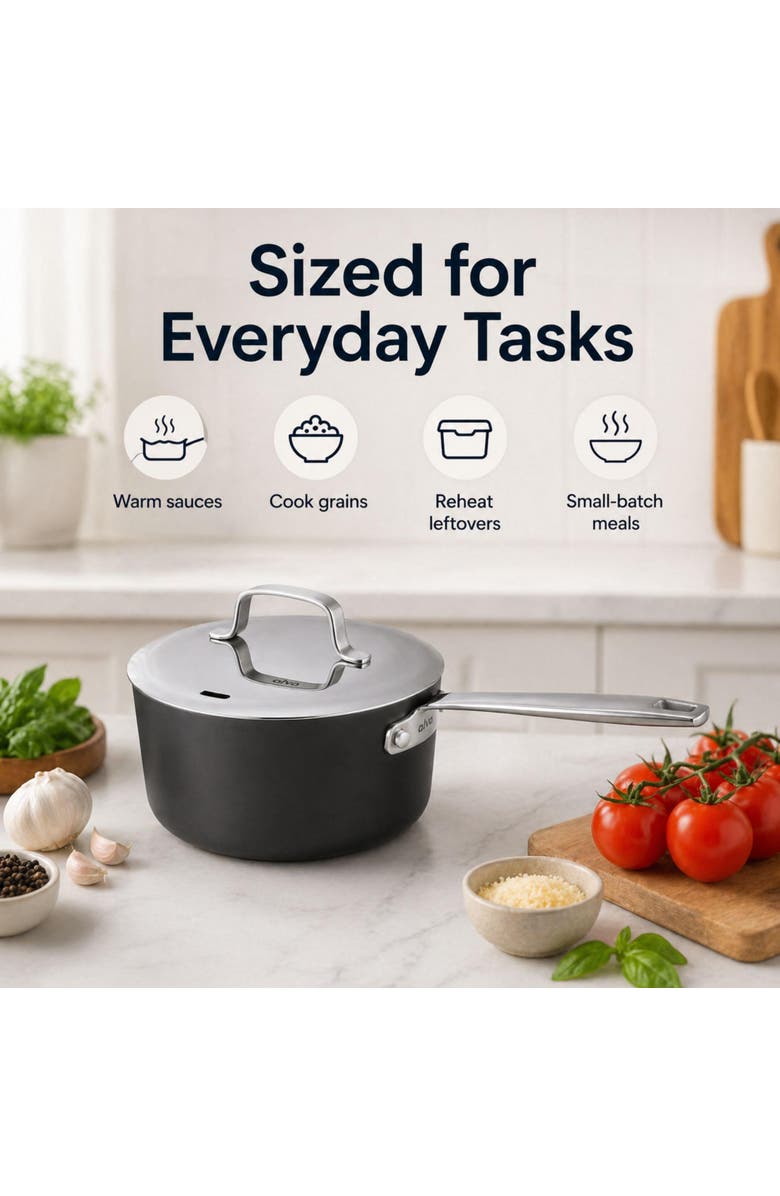 Alva Maestro 2 Qt. Nonstick Saucepan + Lid, Alternate, color, Black