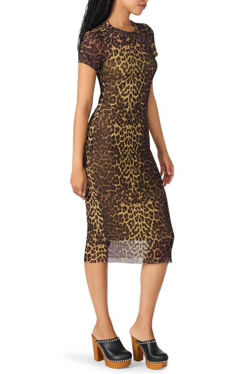 Steve Madden Hailee Print Dress In Animal Print