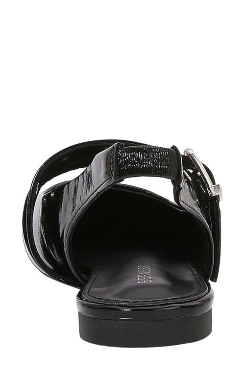 BERNESS BERNESS FABIOLA DOUBLE BUCKLE POINTED TOE SLINGBACK FLAT