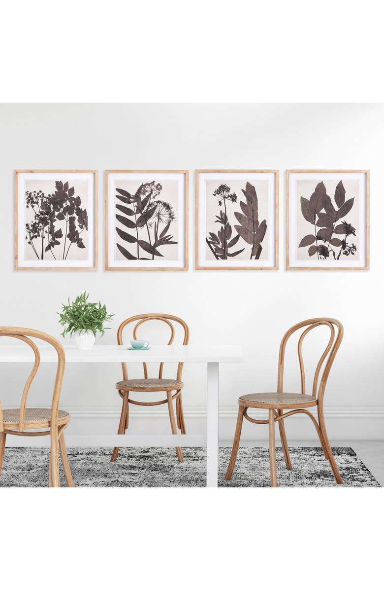 Napa Home & Garden Pressed Foliage Plant Art Prints with Light Wood Frame Set of 4, Alternate, color, Black