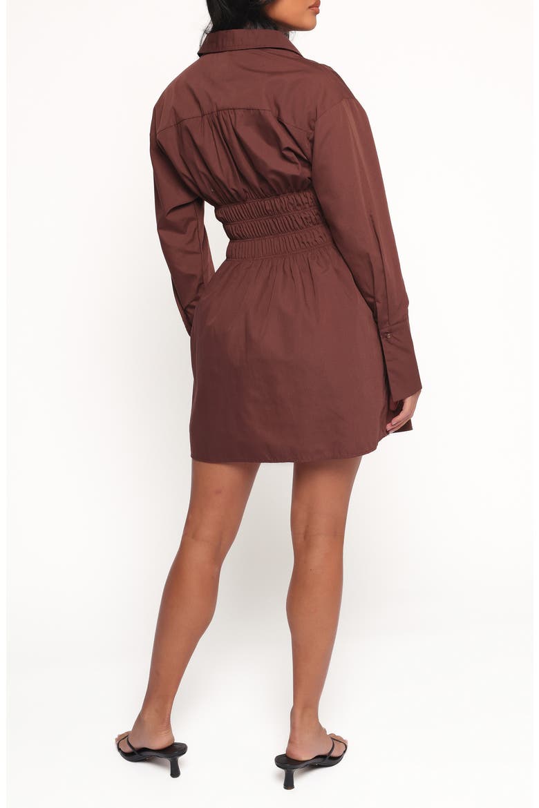 Wallace Long Sleeve Mini Shirtdress, Alternate, color, CHOCOLATE