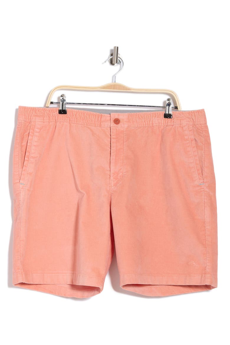 Sea Coast Stretch Corduroy Shorts, Alternate, color, CANYON