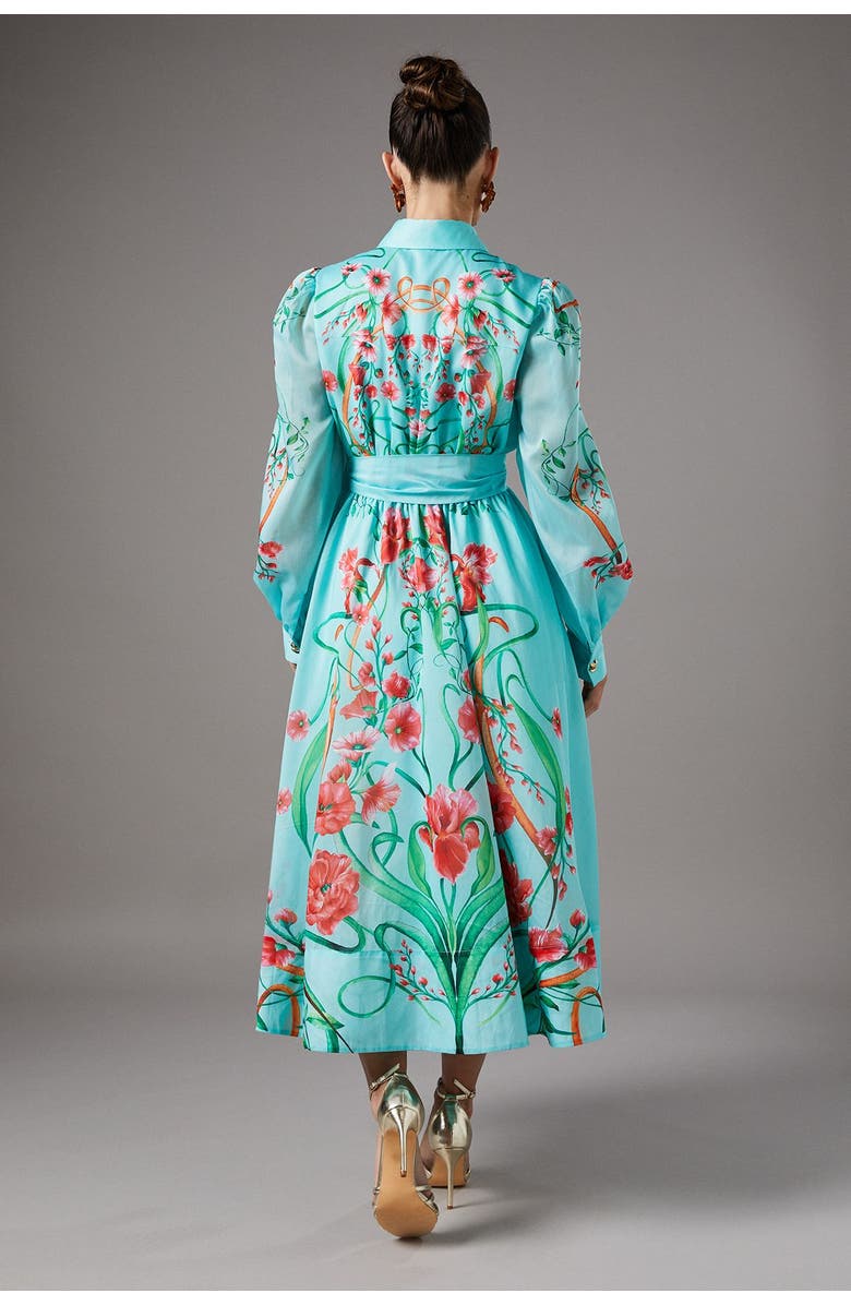 Coast Border Print Organza Shirt Dress, Alternate, color, Mint
