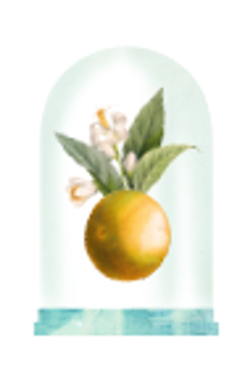 GRANADO Limão Taiti & Néroli Eau de Cologne 300ml, Alternate, color, Clear