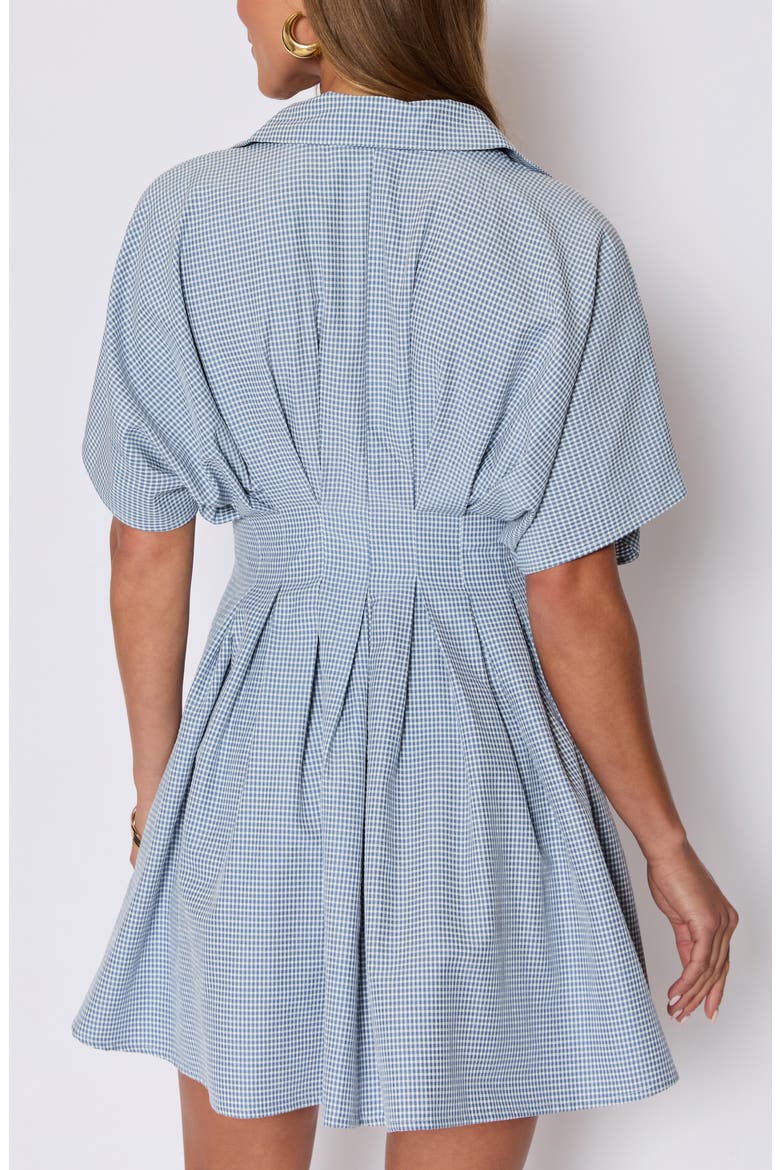 Benson Pleated Shirtdress (Nordstrom Exclusive), Alternate, color, BLUE/ WHITE