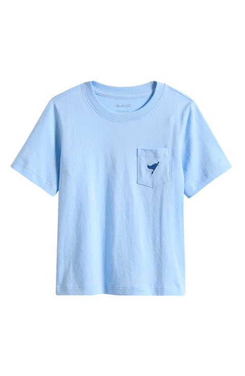 Kids' Airplane Graphic T-Shirt (Toddler & Little Kid)