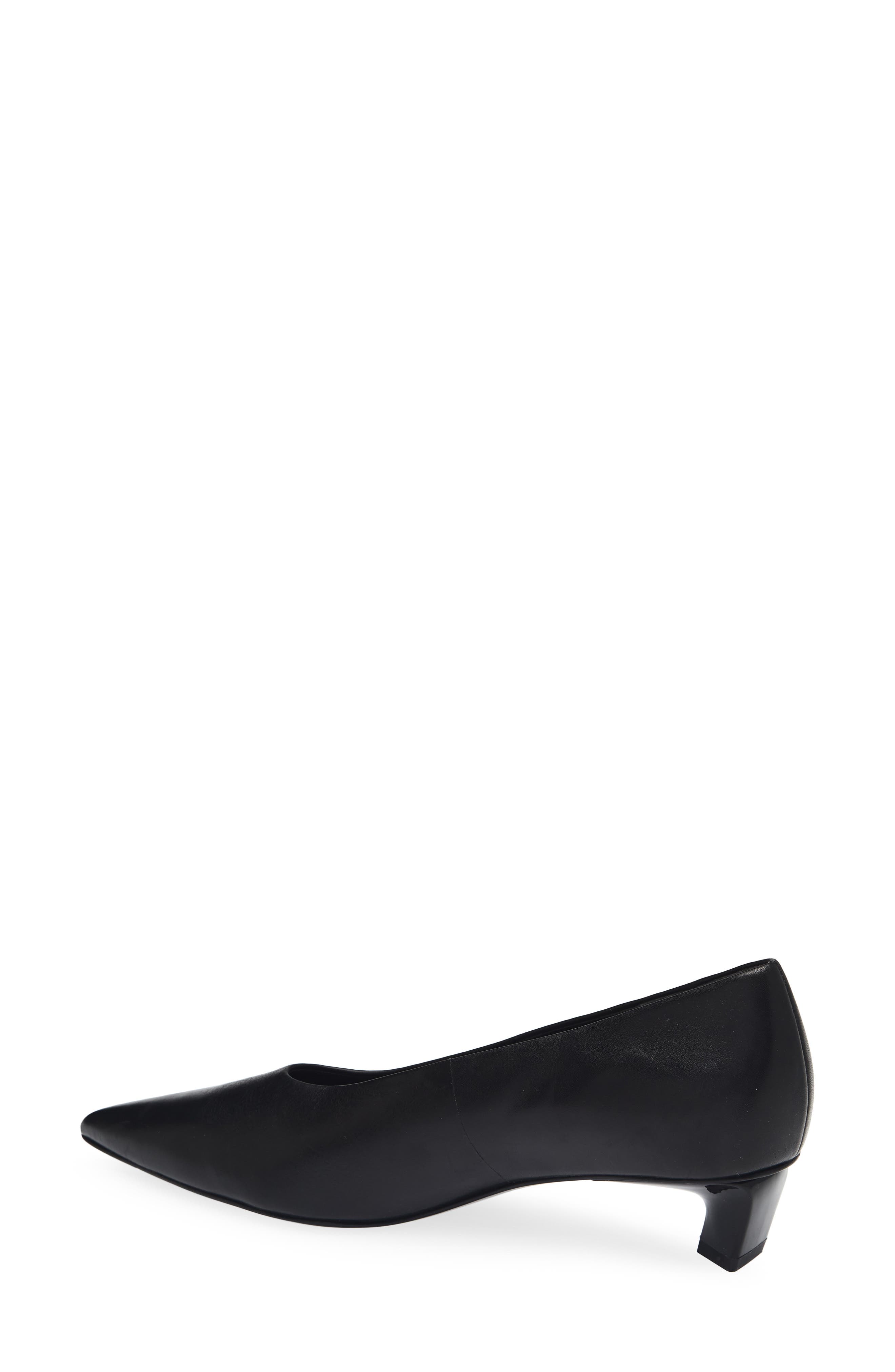 Paloma Pointed Toe Pump, Alternate, color, BLACK